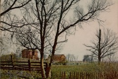 IMG_0273